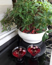 ژله حباب دار...