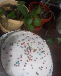 اولین کیک خامه ای