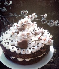 تولدت مبارک عشق جانم