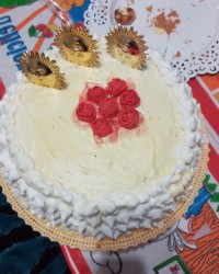 هنرنمایی های من برای تولد عشق عمه