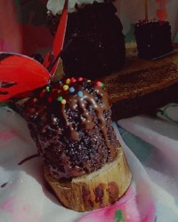 مینی کیک خیس