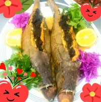 ماهی شوریده .شکم پر