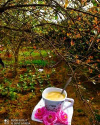 چای ماسالا