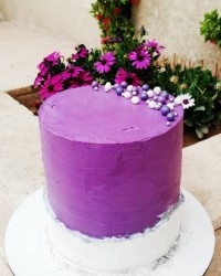 کیک اسفنجی ۲تخم مرغی