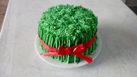 کیک سبزه