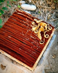 تیرامیسو شکلاتی