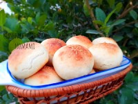 پیراشکی توپول