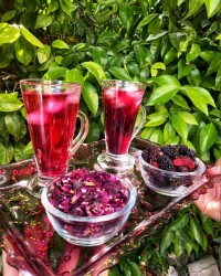 شربت گل محمدی و توت خونگی...♡