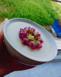 فرنی گل محمدی