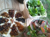 کشک و بادمجان کبابی