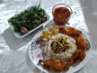 زرشک پلومرغ باسس پرتقال