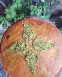 کماچ شیرمحلی