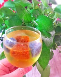 شربت خاکشیر و تخم شربتی