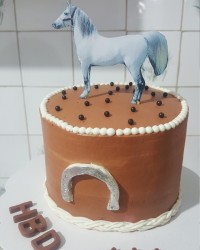 کیک سوپرایزی تولدهمسرجان