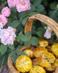 کاپ کیک کوکو سبزی