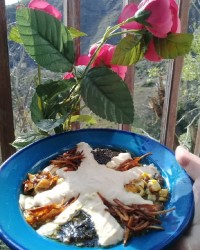 کشک بادنجان