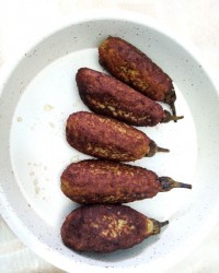 کباب بادمجانی با دستور پخت مامان حنا و حسام عزیز