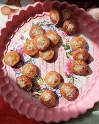 کاپ کیک یزدی