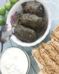 دلمه برگ انگور