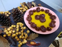 حلوا قرار خواهرانه