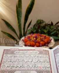 لطفا کپشن رو بخونید