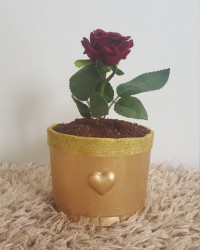 دسر گلدانی