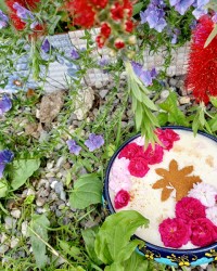 شیربرنج مجلسی