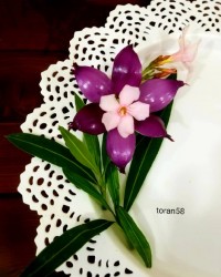 دورچین باپیازوگل طبیعی