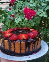 کیک وانیلی با سس شکلاتی وتوت فرنگی