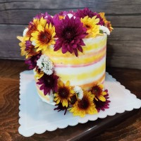 کیک دلبر ما، سفارش دوست عزیزم