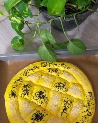 نون بربری
