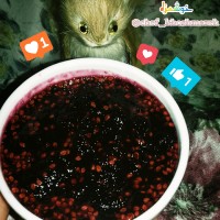 41 _ مربا توت سیاه