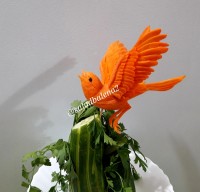 پرنده با هویج