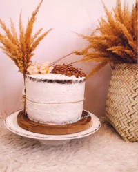 کیک شیفون موکا