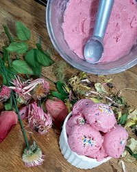 بستنی