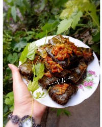 دلمه برگ مو