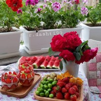 دسر_مگنولیا