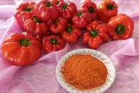 پاپریکا خونگی