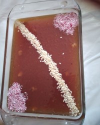 سلام دوستان گلم حلوای عمانی