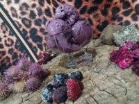 بستنی خامه ای شاتوت