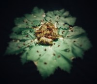 از خوبای روزگار?