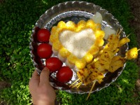 جوجه کباب تابه ایی بسی خوشمزه