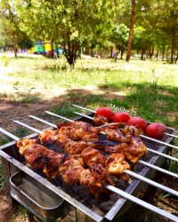 کباب مرغ در طبیعت