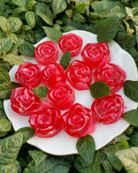 پاستیل رولی