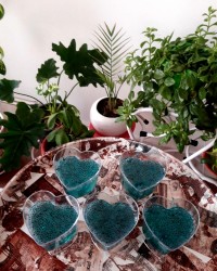 ژله با تخم شربتی