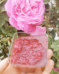 مربای گل محمدی