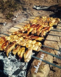 در دل طبیعت ویژه...