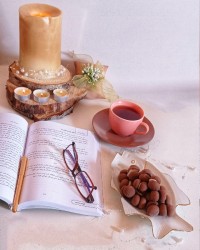 مینی کوکی ساندویچی