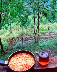 صبحانه با کمترین امکانات در دل طبیعت (املت)