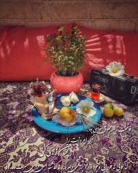 مربای زردالو